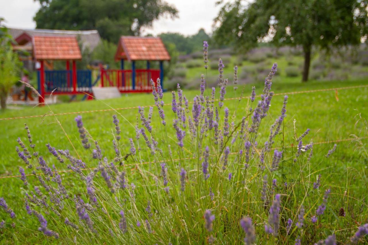 Lavanda Farm Apartmani Rakovica Luaran gambar