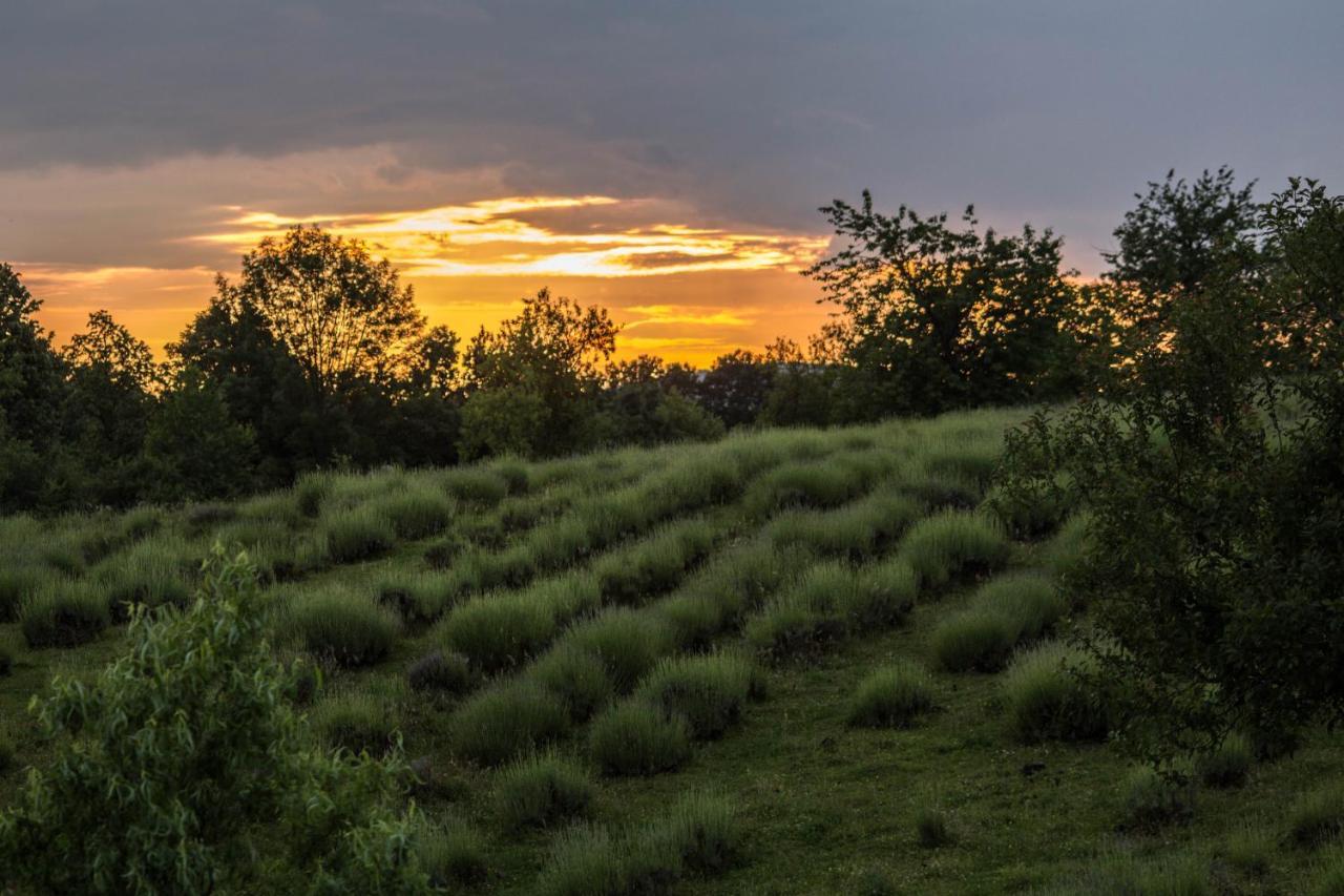 Lavanda Farm Apartmani Rakovica Luaran gambar