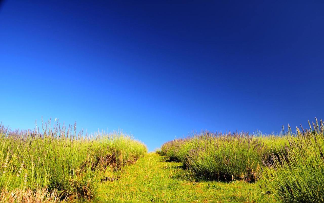 Lavanda Farm Apartmani Rakovica Luaran gambar