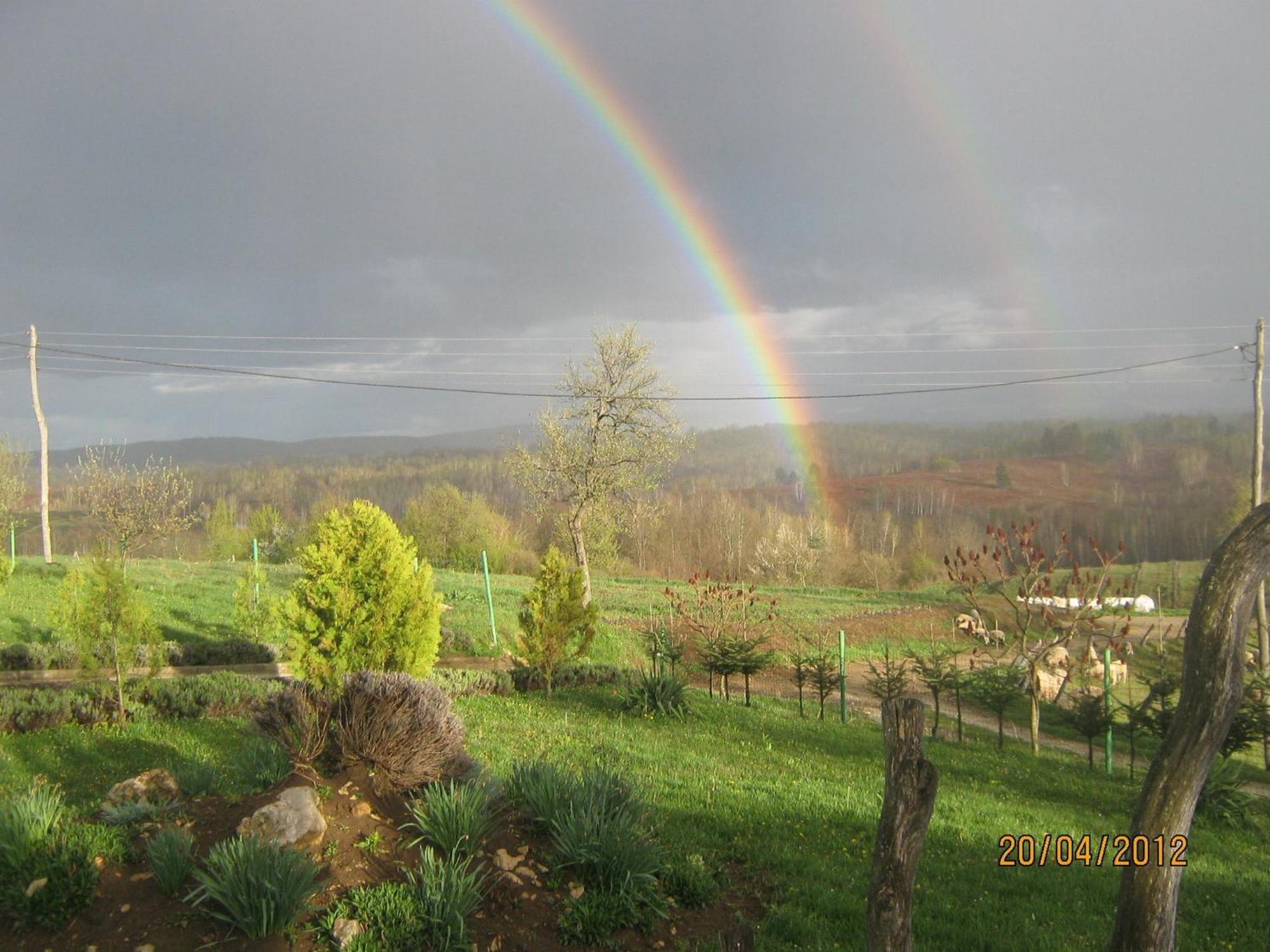 Lavanda Farm Apartmani Rakovica Luaran gambar