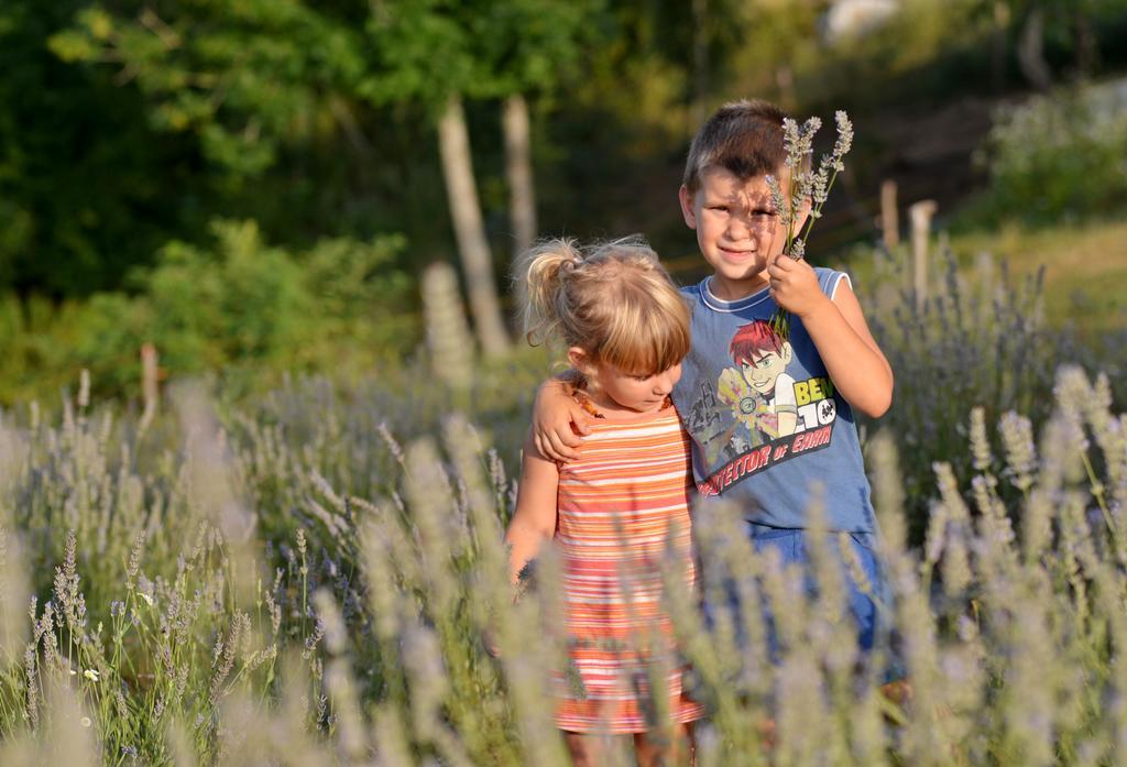 Lavanda Farm Apartmani Rakovica Luaran gambar