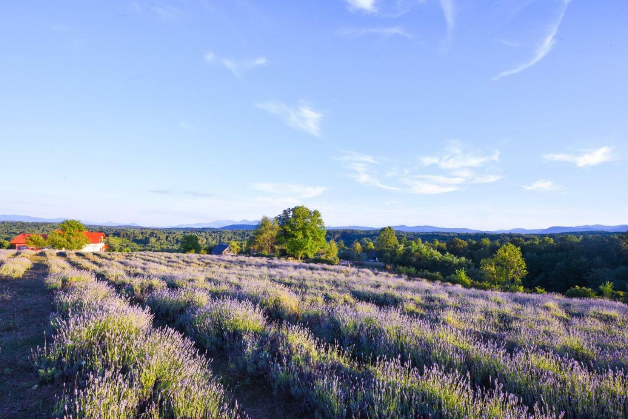 Lavanda Farm Apartmani Rakovica Luaran gambar