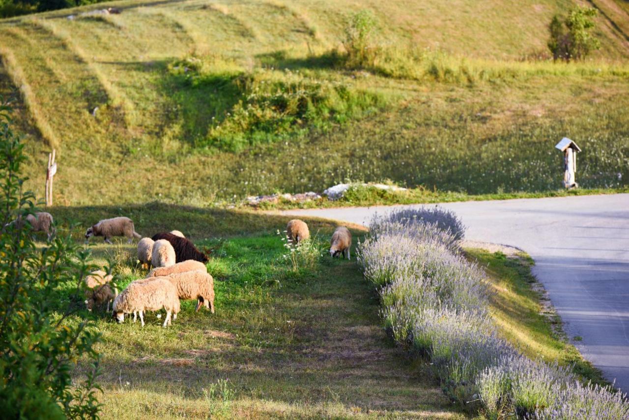 Lavanda Farm Apartmani Rakovica Luaran gambar