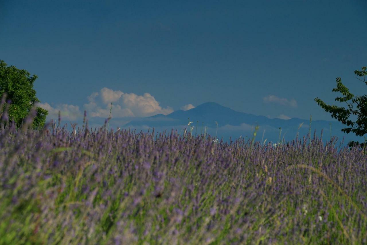 Lavanda Farm Apartmani Rakovica Luaran gambar