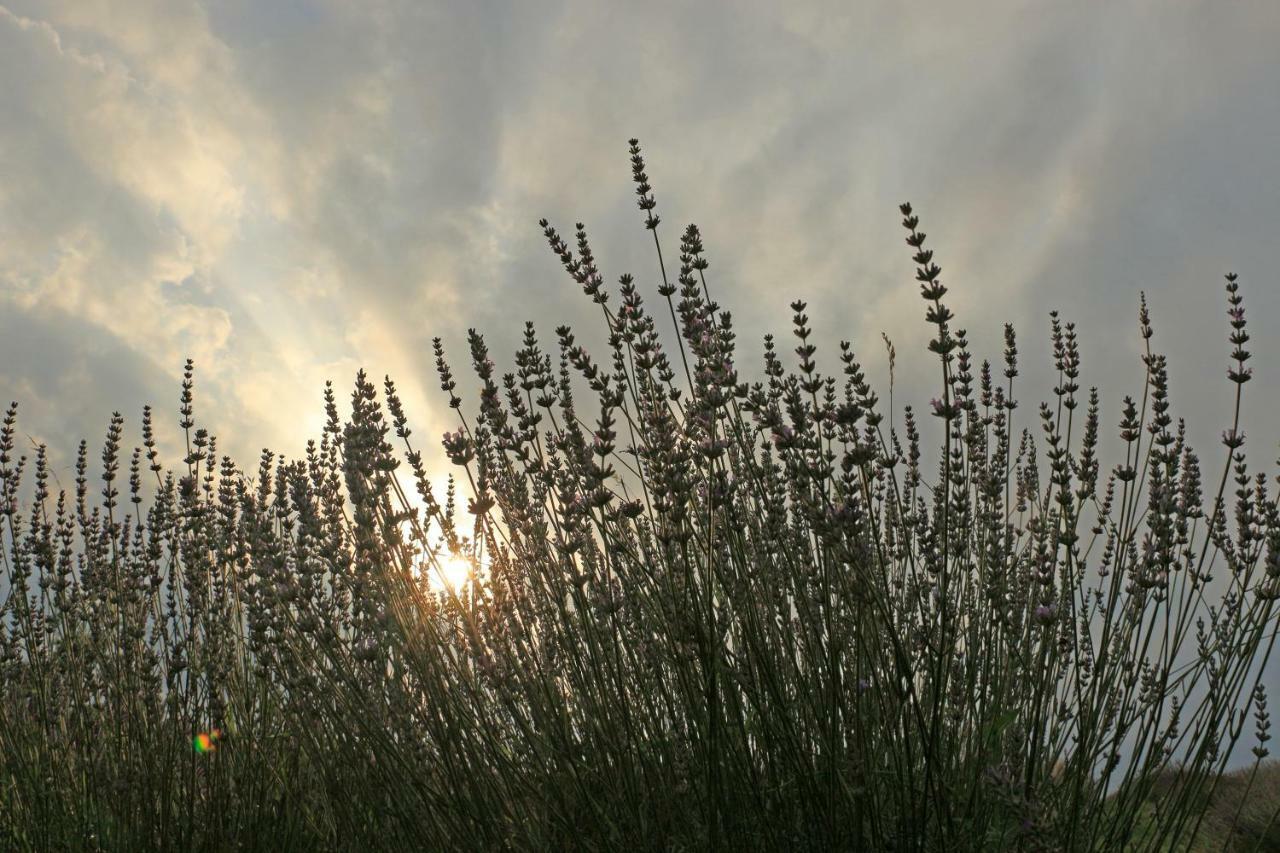 Lavanda Farm Apartmani Rakovica Luaran gambar