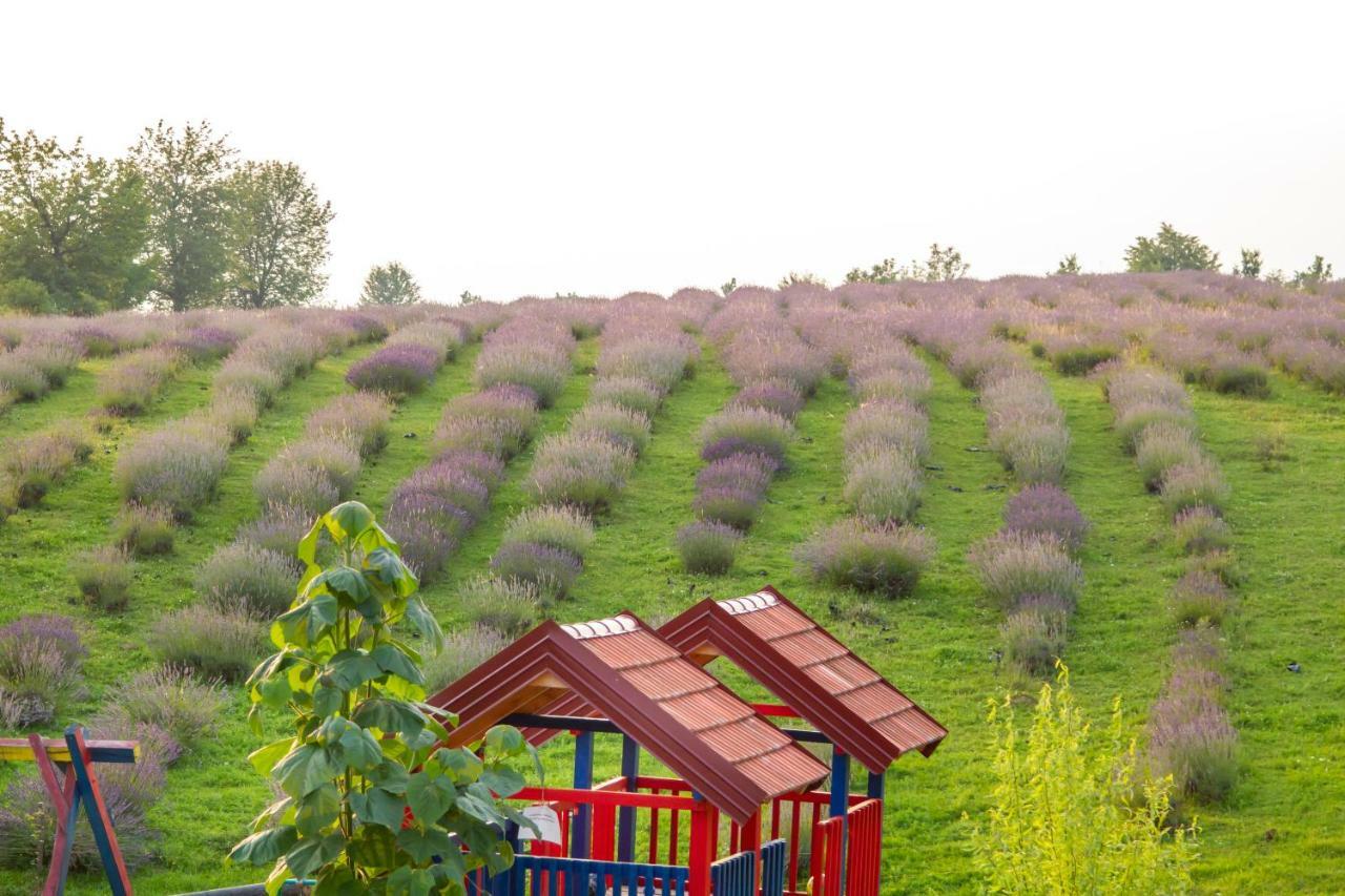 Lavanda Farm Apartmani Rakovica Luaran gambar