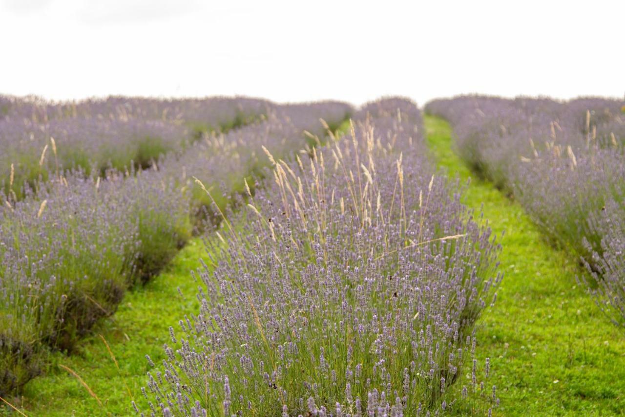 Lavanda Farm Apartmani Rakovica Luaran gambar