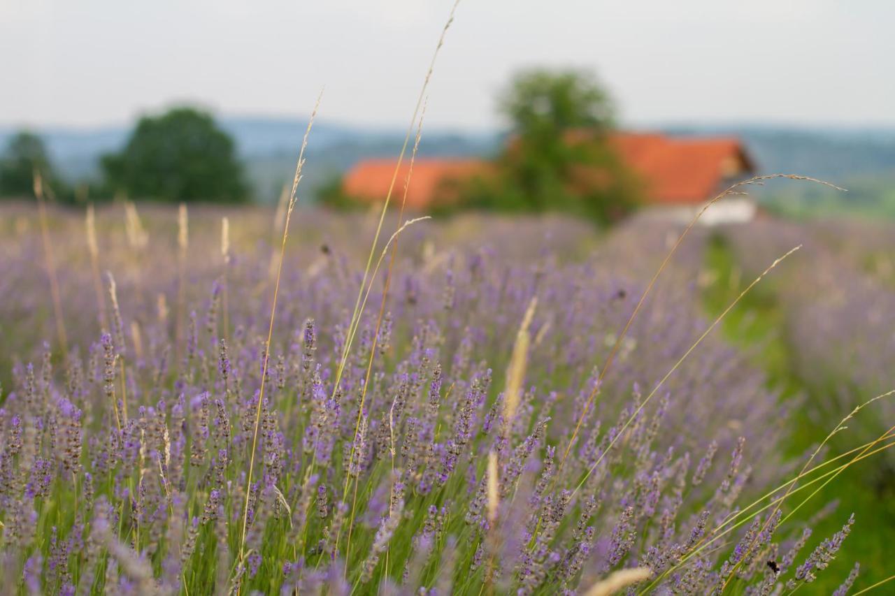 Lavanda Farm Apartmani Rakovica Luaran gambar